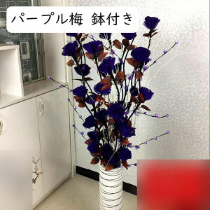 ԃo  [Yԑ 5{Zbg KN ԑ o^Cf[ ͂Ȃ }`bN ԃu[P ԏ A[gt[ ʐ^ ̓  a j v[g Q 