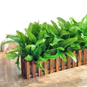 tFCNO[ |gX ACr[ ? A lHϗtA CeAO[ lHt { ϗtA lHA ͂Ȃ sv K[f   p