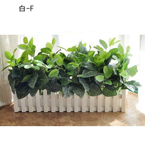 tFCNO[ |gX ACr[ ? A lHϗtA CeAO[ lHt { ϗtA lHA ͂Ȃ sv K[f   p