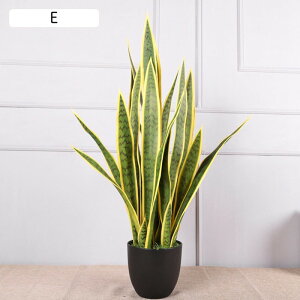 lHϗtA A 76CM TXxA^ tFCNO[   b炸 CeA z[ rO FBփTvCY v|[Y  Vw Ǝ NX}X 