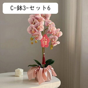 ԃCeA ԑ ͂Ȃ  ϗtA A { ȒPb炸 ~jԊ g?o?嚒??F k ins    X iX K[f u