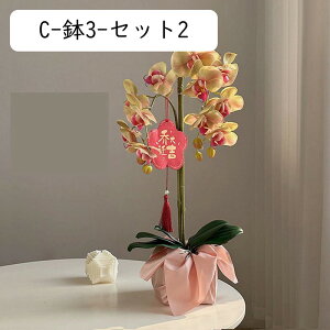 ԃCeA ԑ ͂Ȃ  ϗtA A { ȒPb炸 ~jԊ g?o?嚒??F k ins    X iX K[f u