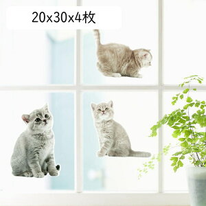 ԃXebJ[ L 24x70cm 20x30 킢lR̃CXg KXXebJ[ hdl   ǎ ͂  JbeBOV[gKX ėp ԃhA  EH[Xeb