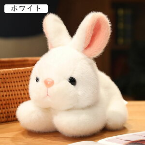 ʂ AETM e D { ё VM[ Aj} p  h[ ܂ ߋ  ӂ G 킢 bNX FB q Mt