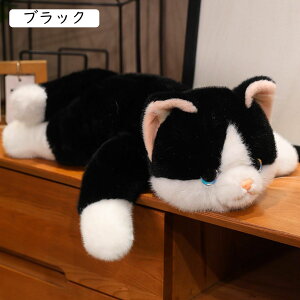 ԂL̂ʂ lR  A  GG  ӂӂ ӂ _炩 ObY { l`  C Mtg v[g \t@ CeA 