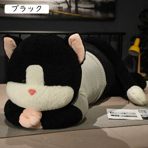 ˂ʂ    L  Z[^[̔L YQ _炩  C ӂӂʂ ܂ NbV 傫/ Mtg v[g ޏގ 