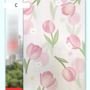 fMV[g tB O猩Ȃ KX  œ\ ډBV[g ΍ Ռ OJbg KXV[g Q C CeA  pډBtBV