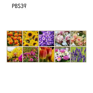 ^CV[ ǎV[ ͂ EH[XebJ[ CNV[g h hJr k  DIY Lb` ʏ UCN^CV[ \tȒP ͋Cϖe ǎfR[V 15x