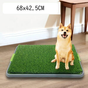 ̃gC lHŕt ybgpgC lH gCpbh Őpbh  gCg[  |[^u ybggCg[ ی|ȒP pbhz_[ ybggCg