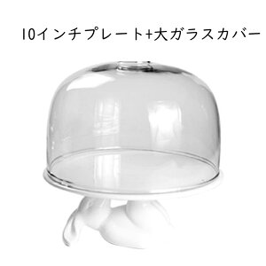 P[LfBXvCX^h P[Lv[g ETM` e  zCg Z~bN fU[gX^h P[LWp G ƒp  َqM R|[g   a p[