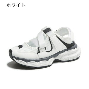 X|[cT_  Xj[J[T_ fB[X ʃt@Xi[ ܐ悠 bV 킢 w4cmȂC D^ xN ϖՐ AEghA h EH[LO 