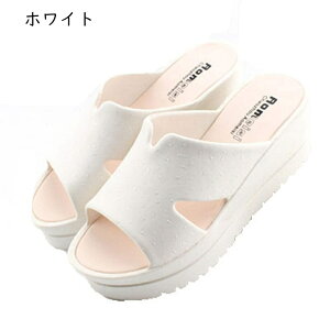 Xbp r[`T_ ~[ T{ fB[X EFbW\[ [V[Y O Oo T{ n Vv ČC t@bV JWA RtH[g ₷ ɂ