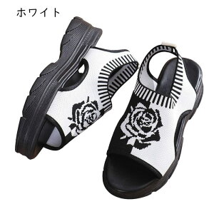 X|[cT_ T_  EFbWq[ fB[X 6cmq[ I[vgD jbg Xb| bV ԕ n tďH NbV h y h EȒP EȂ o