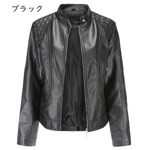 傫TCY C_[XWPbg fB[X WPbg tFCNU[ puvWPbg AE^[  Wbp[ V[g  X אg HD C_[X H~ h 򂠂