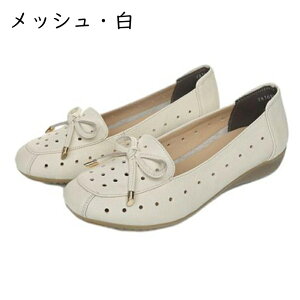 pvX JV y^R fB[X { Xb| EhgD 2cmq[ ₷ }}V[Y wl ʋC EȒP \tg GKg  o| ʋΒʊw