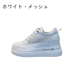 Xj[J[  7cmUP Cq[V[Y fB[X [Jbg [XAbv ϖՐ ʋC h EȒP EȂ L r gUP i n ʋ ʊw Oo I[V[Y