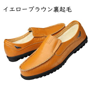 [t@[ Y v vC amC JWA hCrOV[Y EhgD y h h 傫TCY ~ E₷^] f[g U fbLV[Y ₷ 