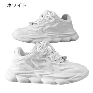 jOV[Y Xj[J[V[Y Y  EH[LOV[Y ^C X|[cV[Y g[jO X|[c mXbv Eɂ _炩  y ʋC AEg