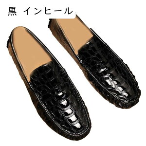 [t@[ JV Y NR_C  XbvI  mXbv ʋC RtH[gV[Y amC ItBX Vv [q[ ₷ I[V[Y