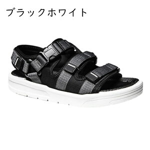 T_ Y 3A X|[cT_ xN }WbNe[v  Xgbv ʋC RtH[g h tėp Kȃt@ubN AEghAT_  JWA ؍ g