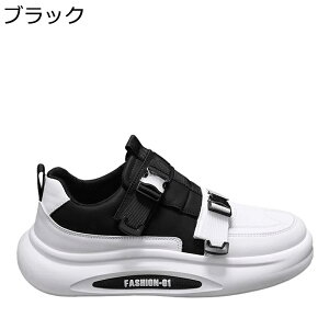 Y Xj[J[ XP[g{[hV[Y [Jbg  }WbNe[v ^C JWA EH[LOV[Y m[X[u ʋC ϖ ₷ K ʊw ʋ 