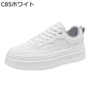 Y Xj[J[ XP[g{[hV[Y  [XAbv X|[c EH[LO JWAV[Y Ȃ ʋC  RtH[g ₷ ʊw ʋ  fbLV[