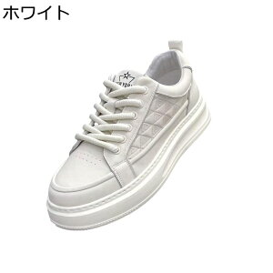 Xj[J[ Y XP{[V[Y  [Jbg [XAbv X|[c JWA EH[LOV[Y y m[X[u ʋC RtH[g  AEghA ʋΒʊw