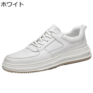 Y Xj[J[ v U[ XP[gV[Y [Jbg [XAbv X|[c JWA EH[LOV[Y ~ ʋC ₷ K AEghA ʊw ʋ 풅p