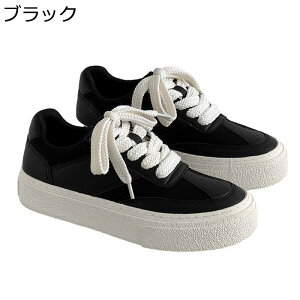 Xj[J[ Y XP{[V[Y  [Jbg [XAbv ^C EH[LO JWAV[Y m[X[u ʋC RtH[g ₷  AEghA ʋΒ