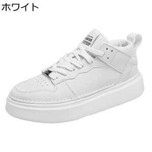 Xj[J[ Y XP[gV[Y g [XAbv ^C EH[LO JWAV[Y  ~ ʋC  RtH[g ₷ AEghA ʊw ʋ 풅p