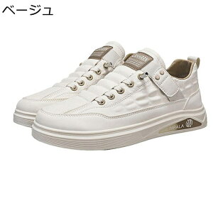 Y Xj[J[ v XP[gV[Y [Jbg Xb| ^C EH[LO JWAV[Y m[X[u ʋC ϋv ₷ ₷ ʊw ʋ  fbLV[Y