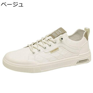 Xj[J[ Y PUv XP{[V[Y [Jbg Xb| ^C JWA EH[LOV[Y Ȃ ʋC y ₷ K  AEghA ʋΒʊw