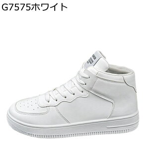 Xj[J[ Y nCJbg XP[gV[Y [XAbv ^C JWA EH[LOV[Y  ~ ʋC ₷ ₷ AEghA ʊw ʋ 풅p