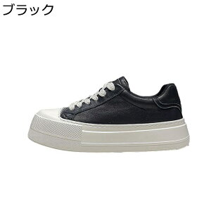 Xj[J[ Y U[ v XP[gV[Y [Jbg  [XAbv X|[c EH[LO JWAV[Y h ʋC  ₷ AEghA ʊw ʋ 풅p