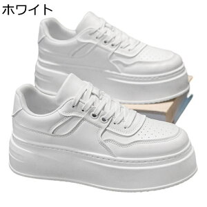 Xj[J[ Y PUv XP[g{[hV[Y JWA  [Jbg [XAbv ^C EH[LOV[Y ~ ʋC ϖ ₷ ʊw ʋ  fbLV[Y