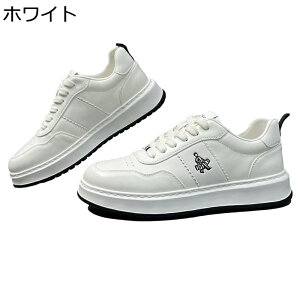 Xj[J[ Y v U[ XP{[V[Y [Jbg [XAbv ^C JWA EH[LOV[Y Ȃ ʋC  ₷ ₷ ʊw ʋ 