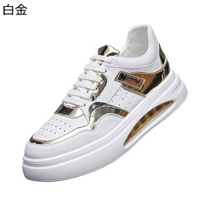 Xj[J[ Y H XP[g{[hV[Y [Jbg  [XAbv JWA EH[LOV[Y X|[c Ȃ ʋC NbV ₷ AEghA ʊw ʋ 