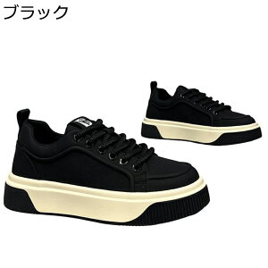 Y Xj[J[ XP[gV[Y v  JWAV[Y y [XAbv ^C EH[LO h ʋC ϖ RtH[g ₷ ʊw ʋ  fbLV[Y