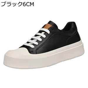 Xj[J[ Y  JWAV[Y Cq[ gAbv XP[gV[Y X|[c EH[LO Ȃ ʋC y ₷ K  AEghA ʋΒʊw