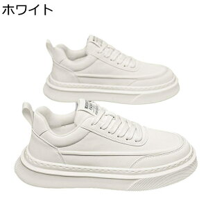 Xj[J[ Y XP[g{[hV[Y H~ [XAbv X|[c EH[LO JWAV[Y m[X[u ʋC ϖ RtH[g ₷ AEghA ʊw ʋ 풅