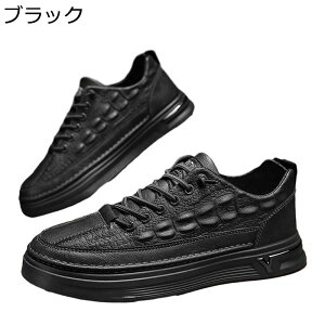 Xj[J[ NR^ Y XP[g{[hV[Y vC Xb| X|[c JWA EH[LOV[Y m[X[u ʋC ₷ K  AEghA ʋΒʊw