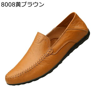 Y hCrOV[Y Xb| [t@[ {v amC JV I[V[Y 傫TCY U[ EH[LOV[Y d ₷ w ʋC ʋ ItBX d