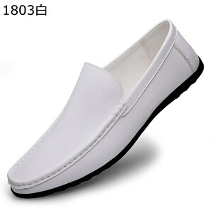 Xb| [t@[ Y JV 傫TCY hCrOV[Y   XbvI y  PUU[ t@bV tH[} Vv ʋ ʊw K AE 