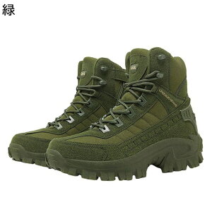 Robgu[c ^NeBJ Y XG[h AEghAV[Y TChWbv h h ʋC ϖ V[gu[c nCJbg Sn bNX JWA i EH[L