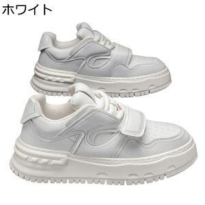 Y Xj[J[  XP[g{[hV[Y v h [XAbv ^C JWA EH[LOV[Y Ȃ ʋC ϖ ₷ K  AEghA ʋΒʊw