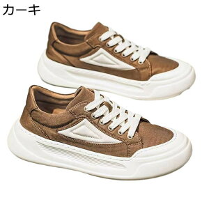 Y Xj[J[ LoX XP{[V[Y [Jbg ^C EH[LO JWAV[Y m[X[u ʋC  [XAbv ₷ ₷  AEgh