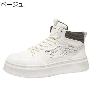 Y Xj[J[ nCJbg XP[gV[Y [XAbv ^C EH[LO JWAV[Y ~ ʋC  ₷ ₷ ʊw ʋ  fbLV[Y