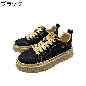 Xj[J[ Y XP{[V[Y ~hJbg [XAbv ^C JWA EH[LOV[Y Ȃ ʋC y ₷ ₷  AEghA ʋΒʊw