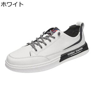 Y Xj[J[ v XP[g{[hV[Y [Jbg X|[c JWA EH[LOV[Y [XAbv h ʋC ϋv RtH[g ₷ y AEghA ʋΒʊw