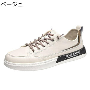 Y Xj[J[ v XP[g{[hV[Y [Jbg X|[c JWA EH[LOV[Y [XAbv h ʋC ϋv RtH[g ₷ y AEghA ʋΒʊw